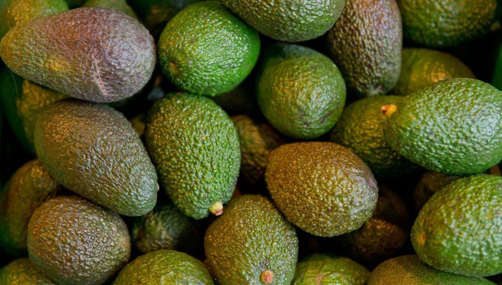 Avocado boom in Germany – imports more than fivefold

