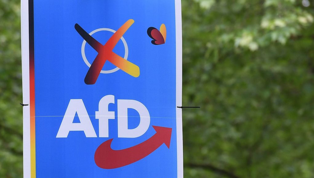 Majority of companies alarmed by AfD’s rise in power
