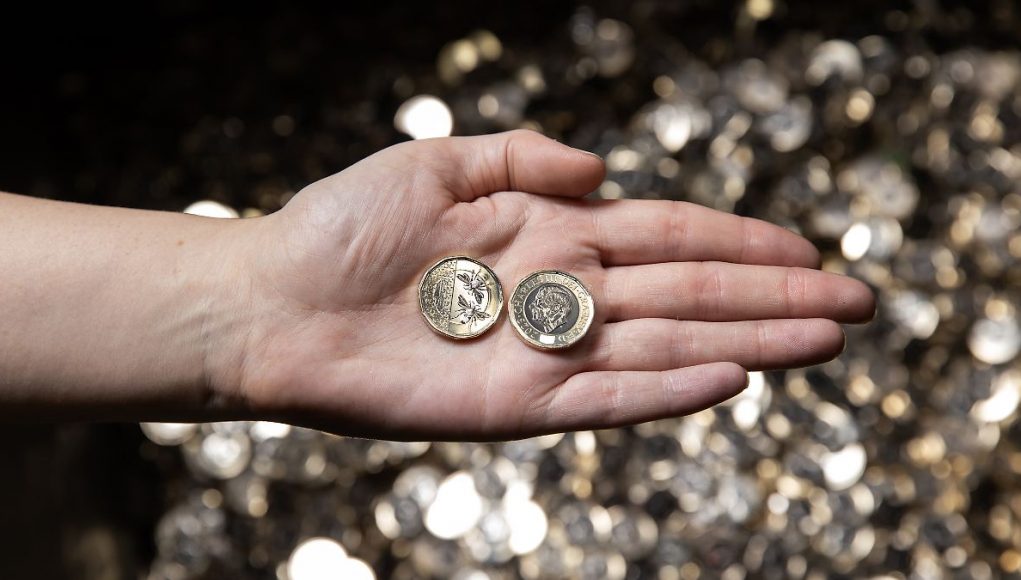 Charles III shares pound coin with bees
